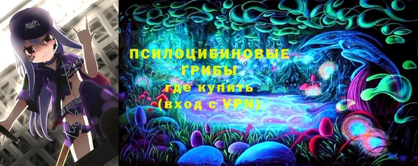 хмурый Белоозёрский