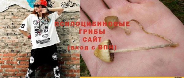 трава Беломорск