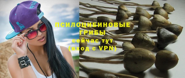 хмурый Белоозёрский