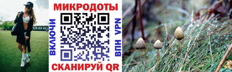где найти   kraken зеркало  Галлюциногенные грибы MAGIC MUSHROOMS  Кузнецк 